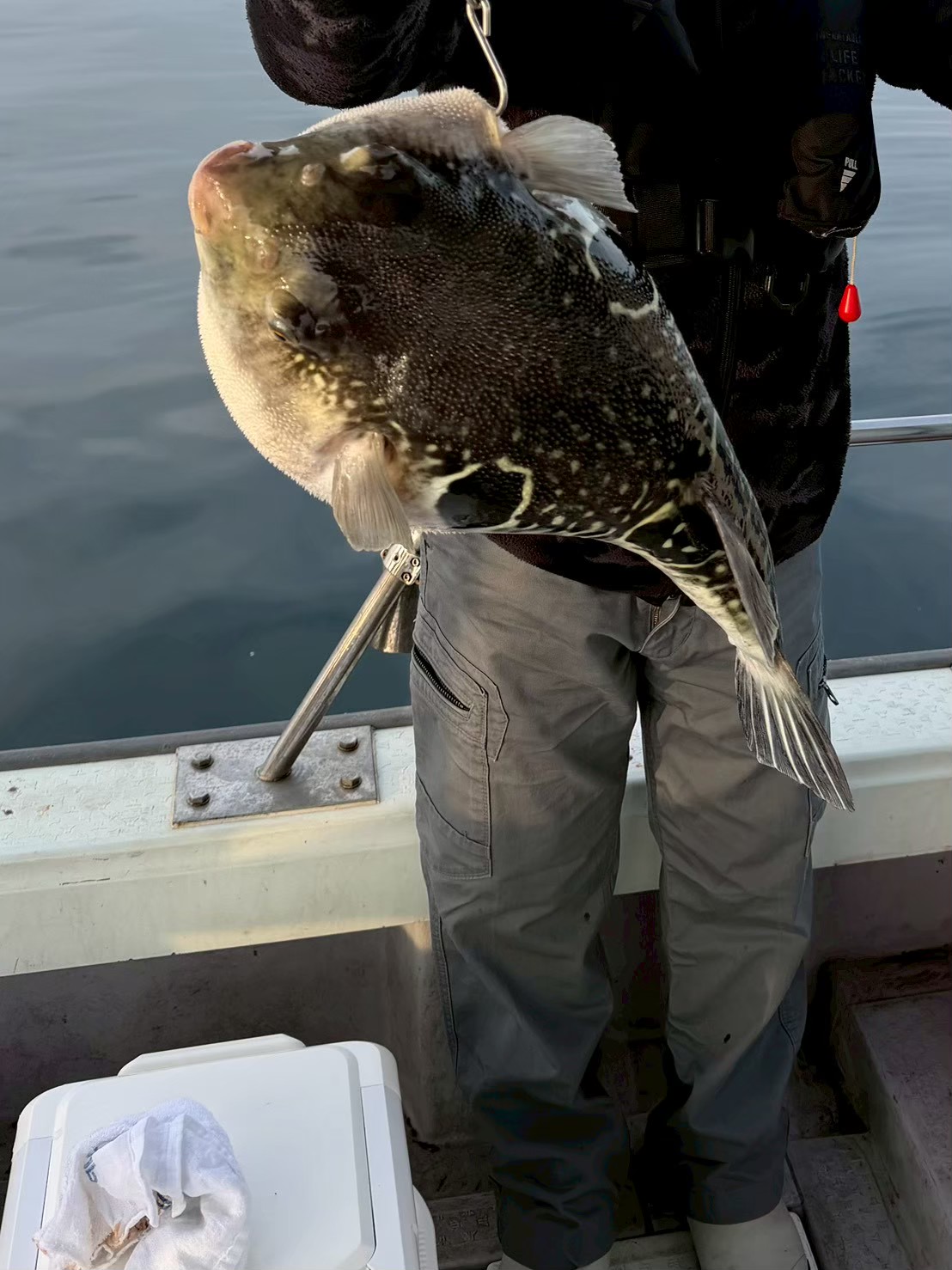 フグを釣り上げたお客様